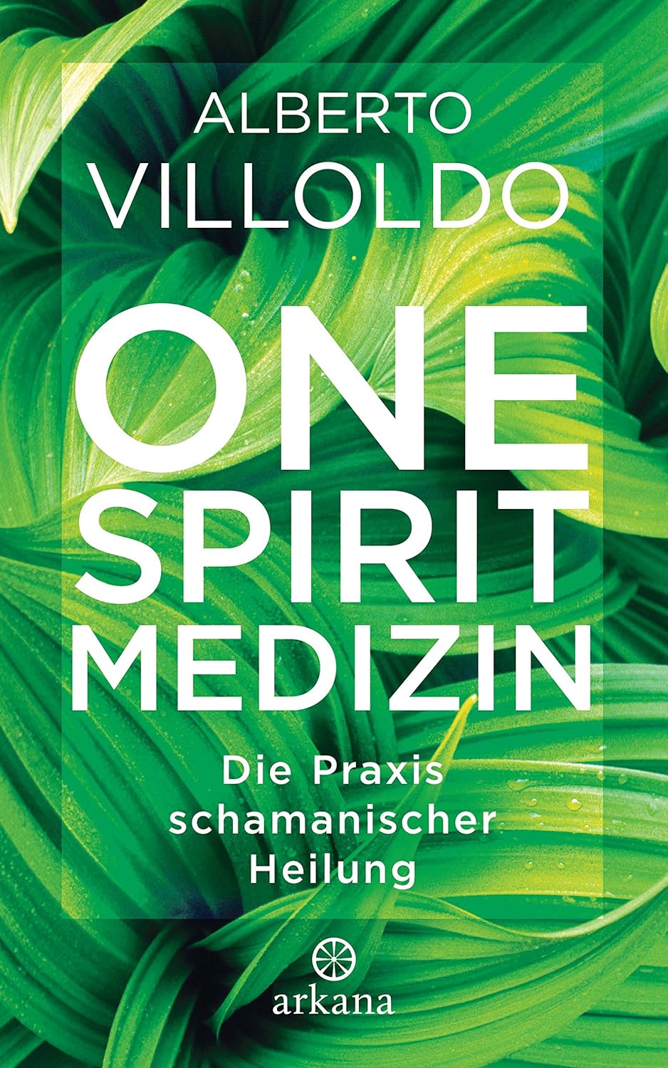 One Spirit Medizin – Bücher – Ansicht 2