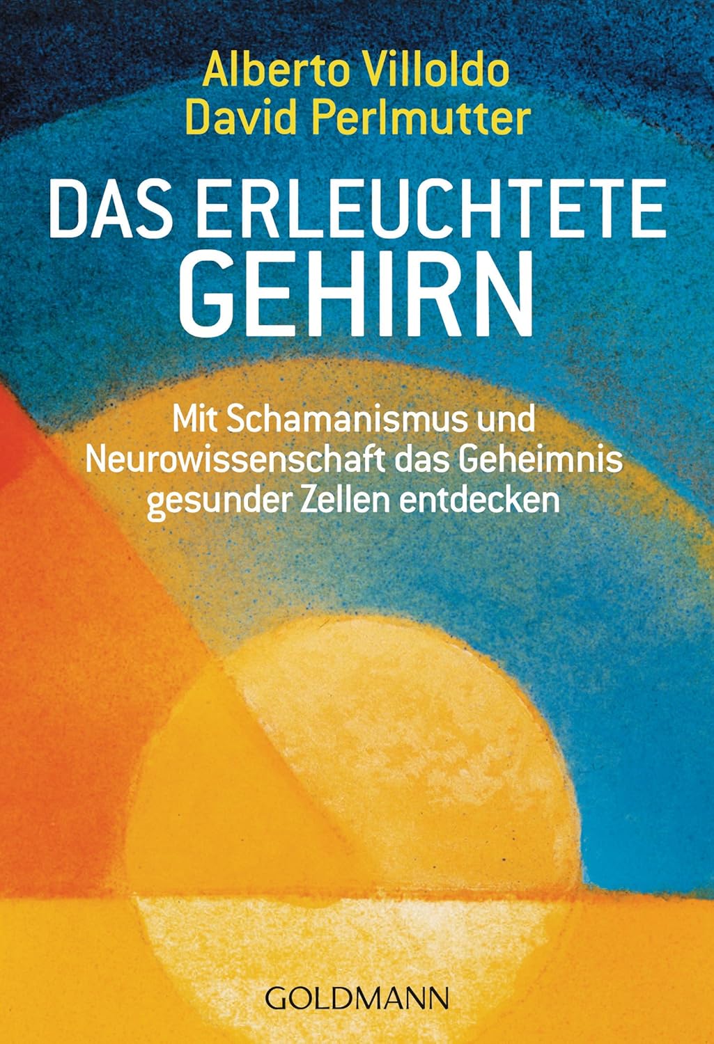 Das erleuchtete Gehirn – Bücher – Ansicht 2
