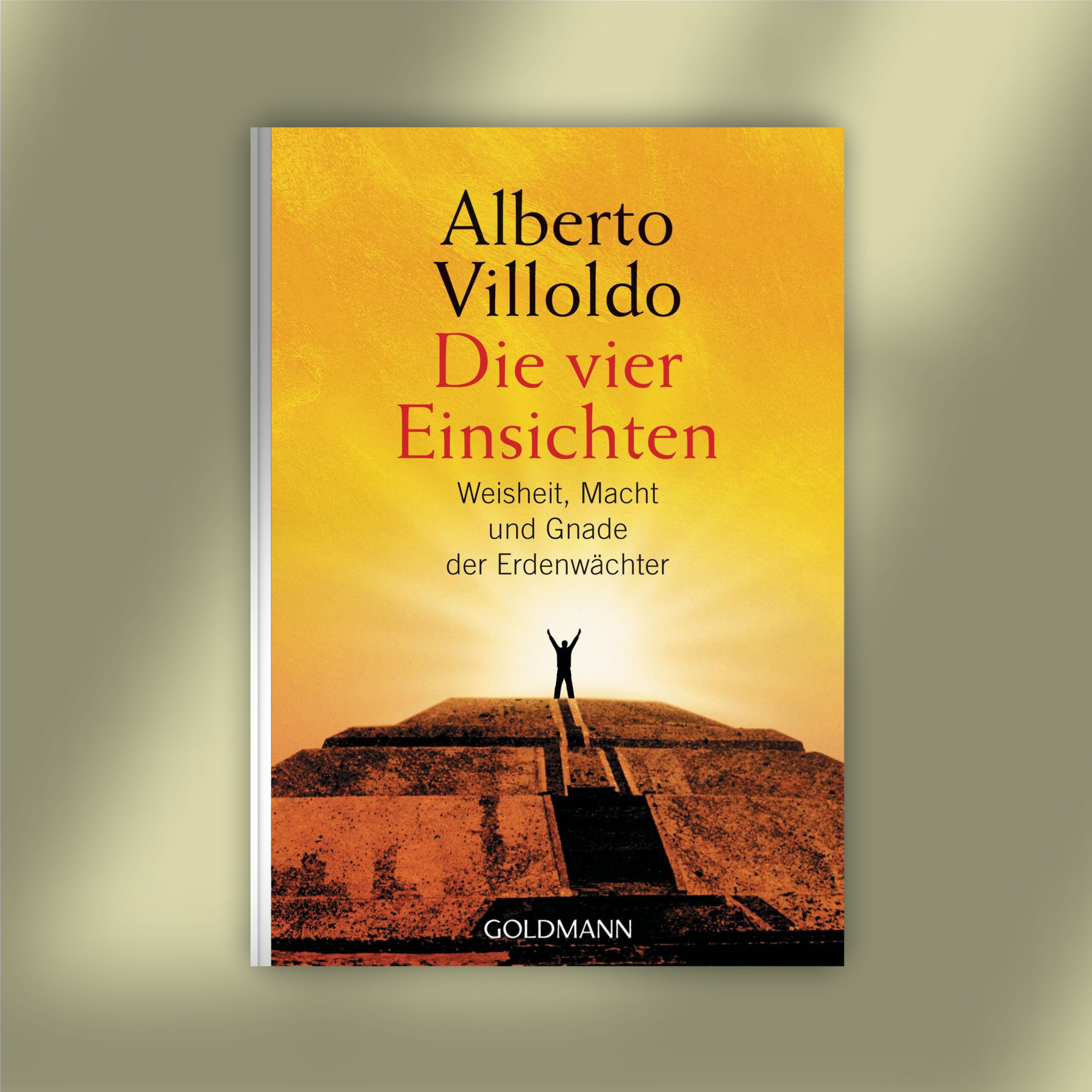 Die vier Einsichten Die vier Einsichten – Bücher