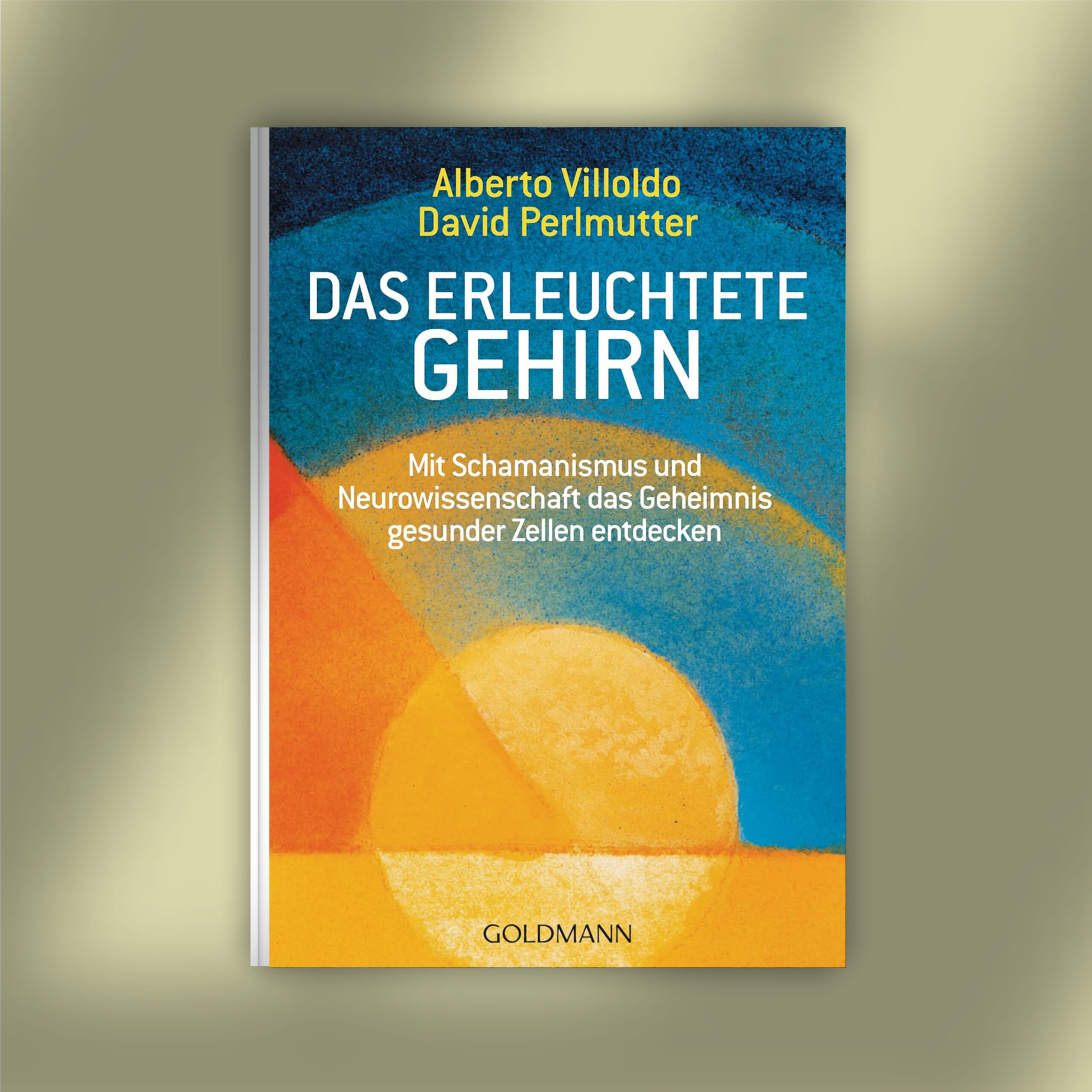 Das erleuchtete Gehirn Das erleuchtete Gehirn – Bücher