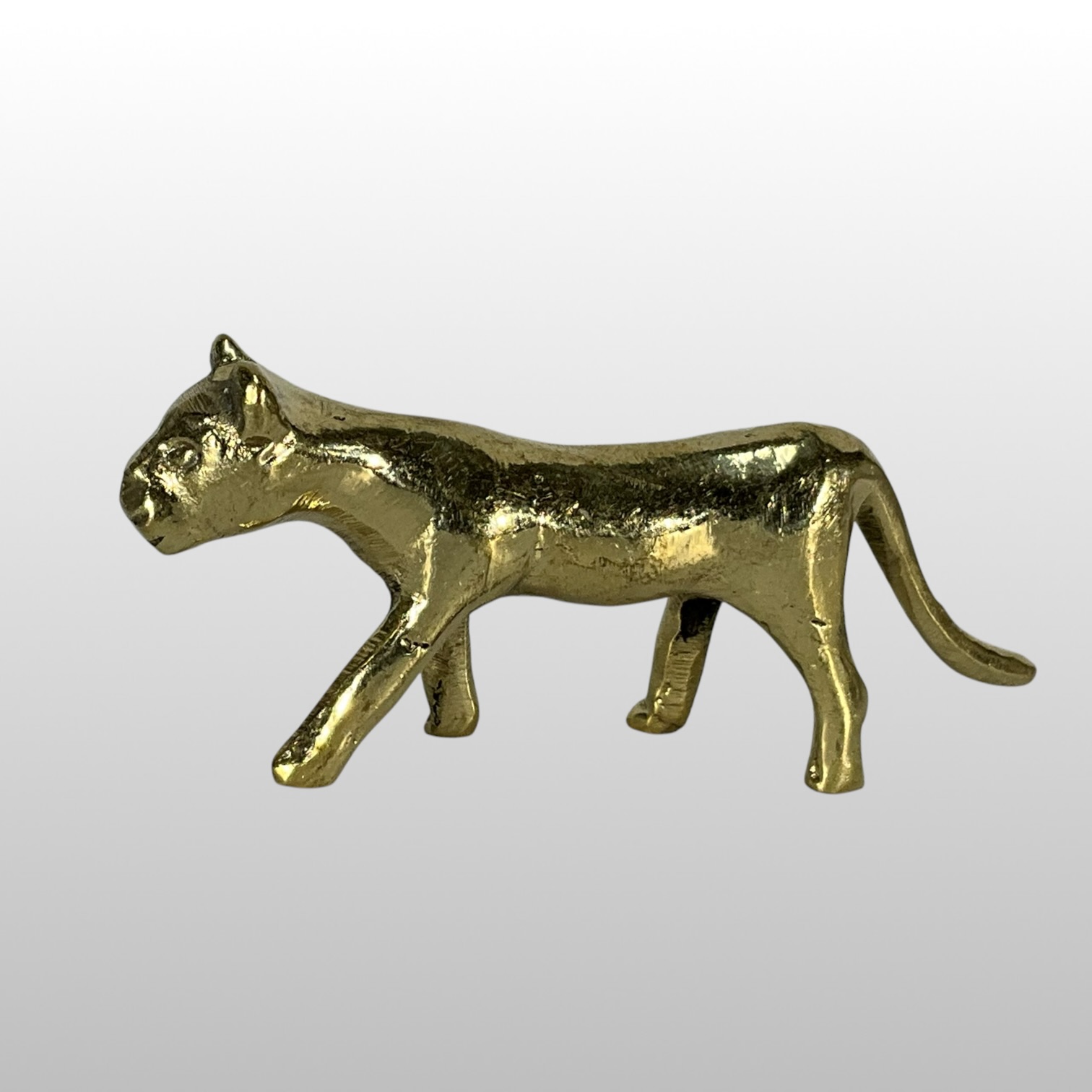Otorongo (Jaguar) Otorongo (Jaguar) – Krafttier