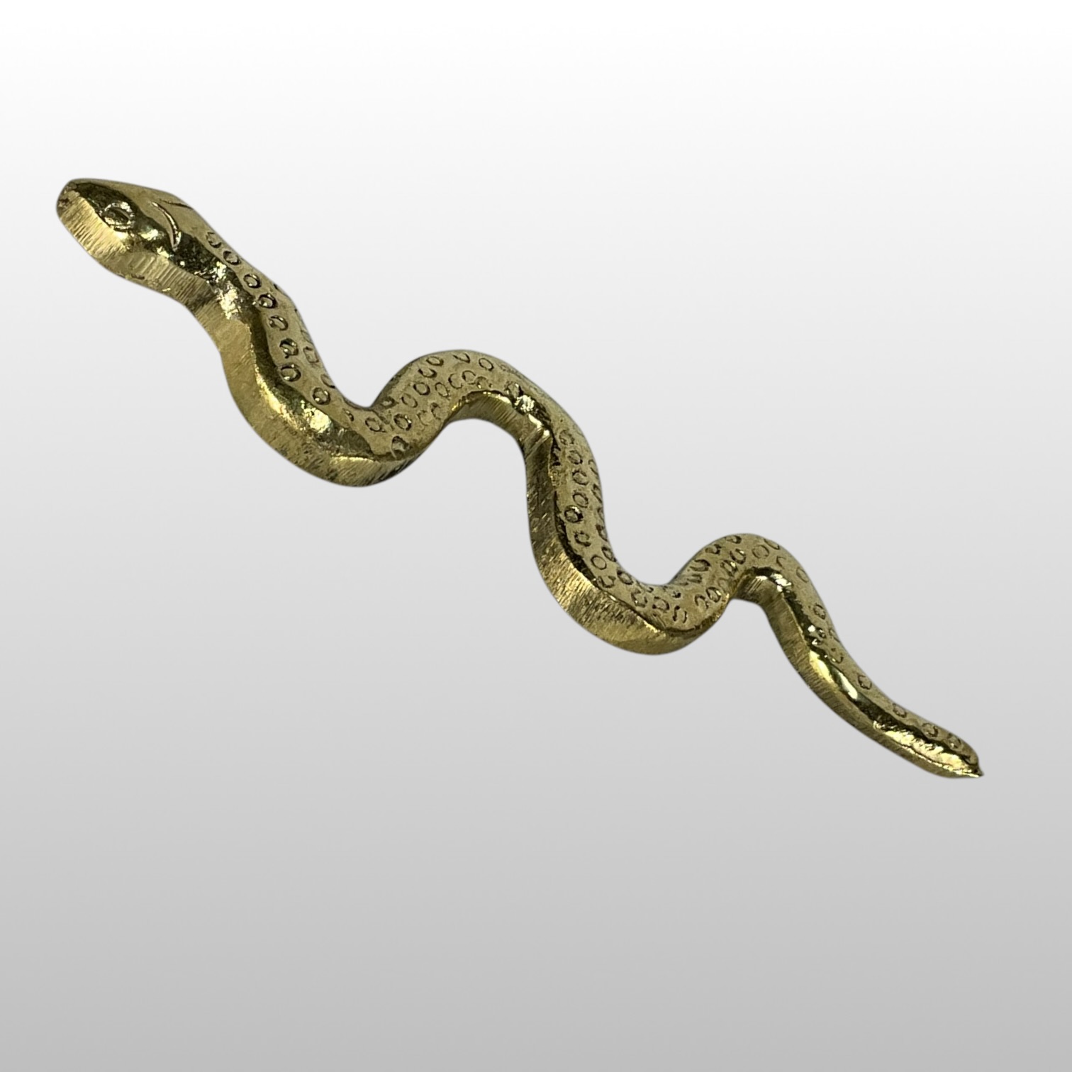 Sachamama (Schlange) Sachamama (Schlange) – Krafttier