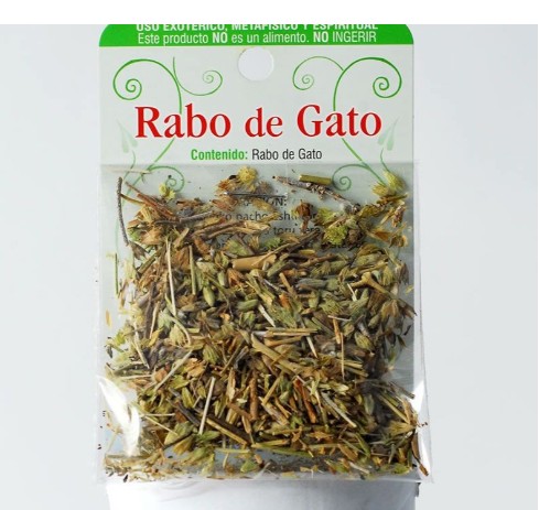 hierba rabo de gato